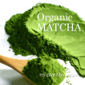Polvo de té verde matcha certificado orgánico